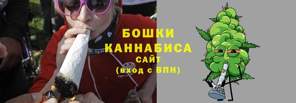 PSILOCYBIN Верея