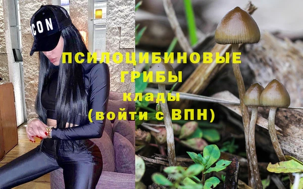 PSILOCYBIN Верея