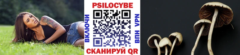 Галлюциногенные грибы Psilocybine cubensis  где купить наркотик  Воткинск 