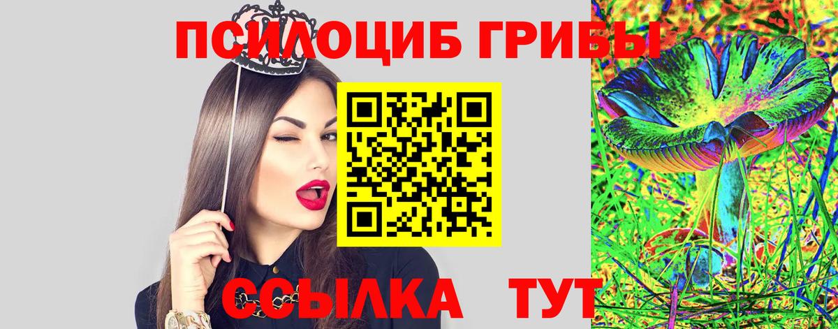 Псилоцибиновые грибы Cubensis Воткинск