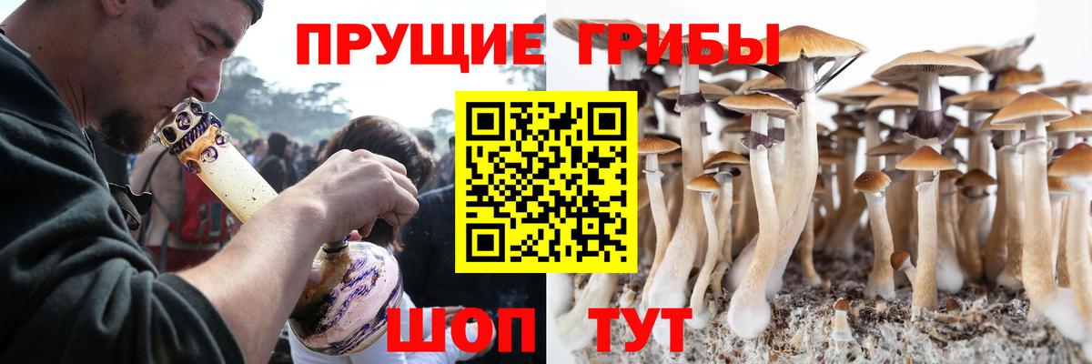 наркотики  Вход с VPN  Воткинск  Псилоцибиновые грибы MAGIC MUSHROOMS 